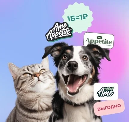 Слайд на главной