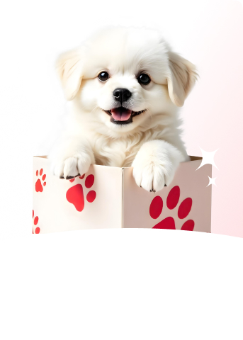 Слайд на главной